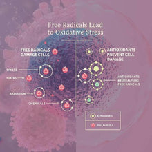 Load image into Gallery viewer, Vital Defense
