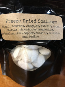 Freeze Dried Scallops